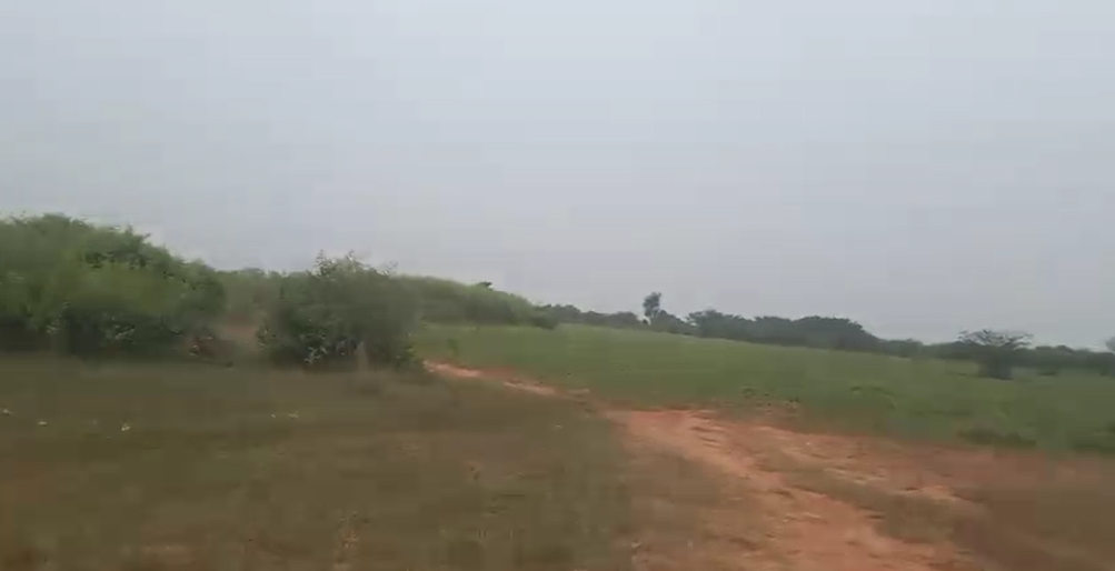  25 acre farm land for sale in Malalvalli